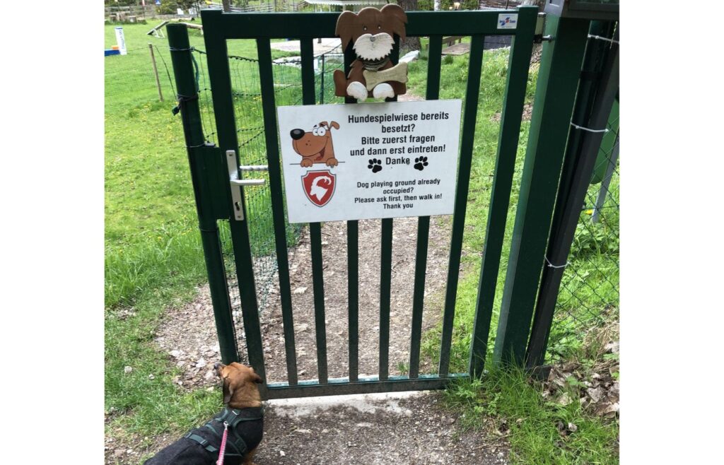 Der Hundepark Im Hptel in Seefeld